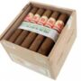Hoyo de Monterrey Rio Seco (Bundle)